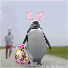 easter-humor-animated-gif-penguin-dressed-as-bunny.gif?w=642