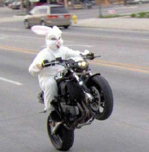 easter-humor-man-in-bunny-suit-popping-a-wheelie-on-motorcycle.jpg