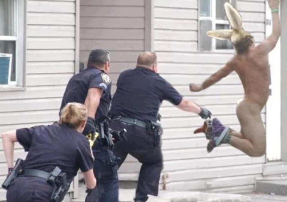 funny photo easter humor naked man with rabbit ears being chased by ...