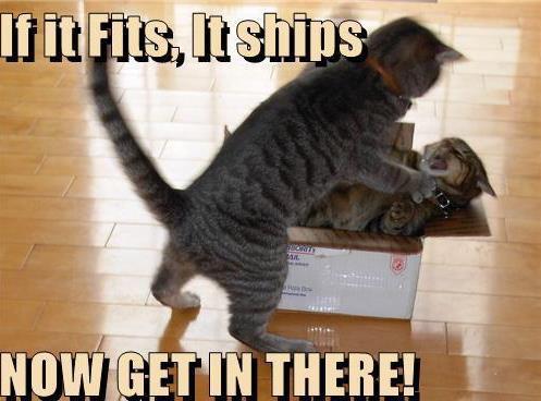 http://llwproductions.files.wordpress.com/2012/06/funny-cat-photo-stuffing-cat-into-box-for-shipping-it-fits.jpg?w=642