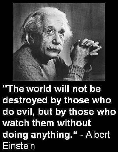 OWS Albert Einstein quote The world will not be destroyed by those who do evil
