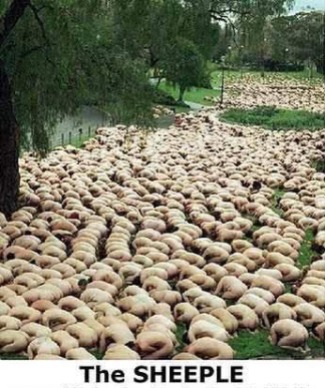 Sheeple of people