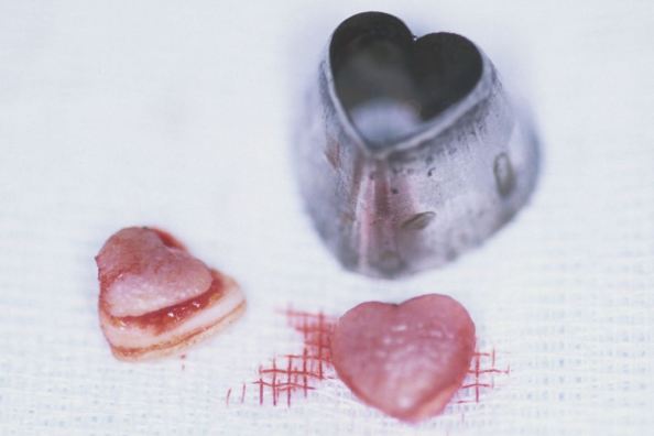 Hearts cut out of skin body modification Japan 1