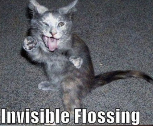 Invisible_cat_flossing_teeth