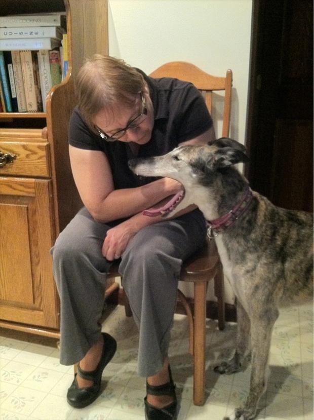 perfectly-timed-pictures-woman-with-hand-in-dogs-mouth