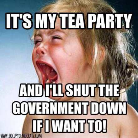 my-tea-party-cry-if-i-want-to-meme-funny