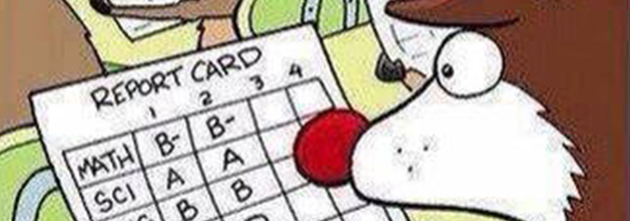 Rudolph’s Report Card